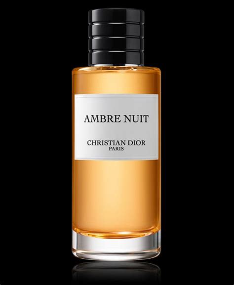 dior ambre nuit bewertung|christian Dior ambre nuit price.